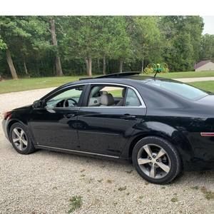 Meet your Posher, Gavin